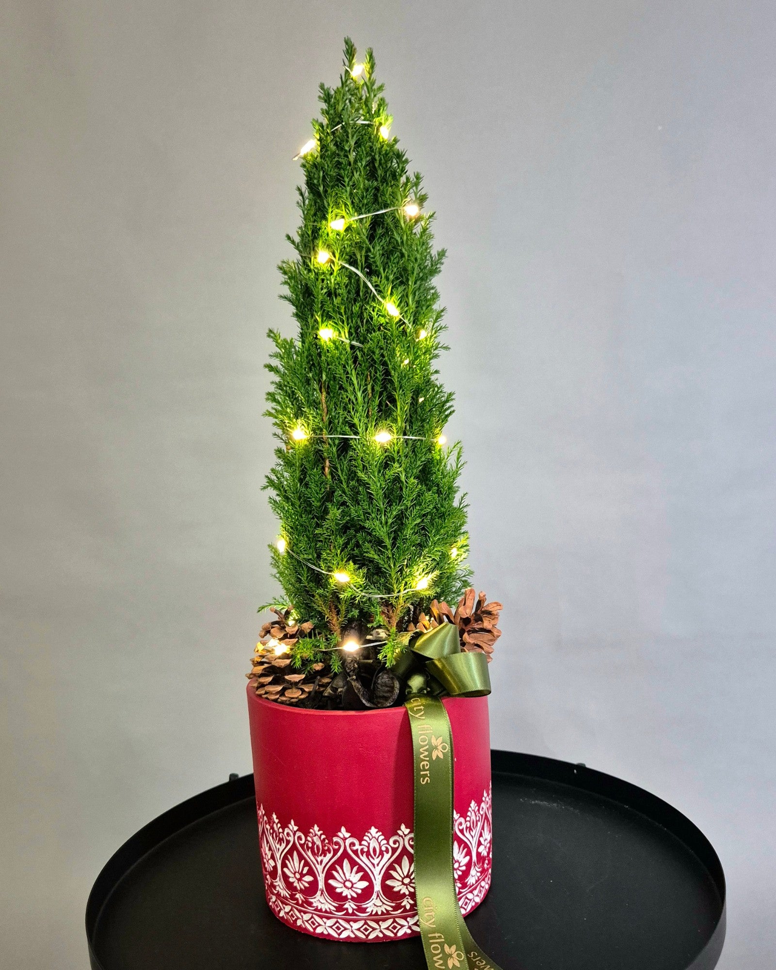 Bradut Natural "Nordic Light" – Chamaecyparis