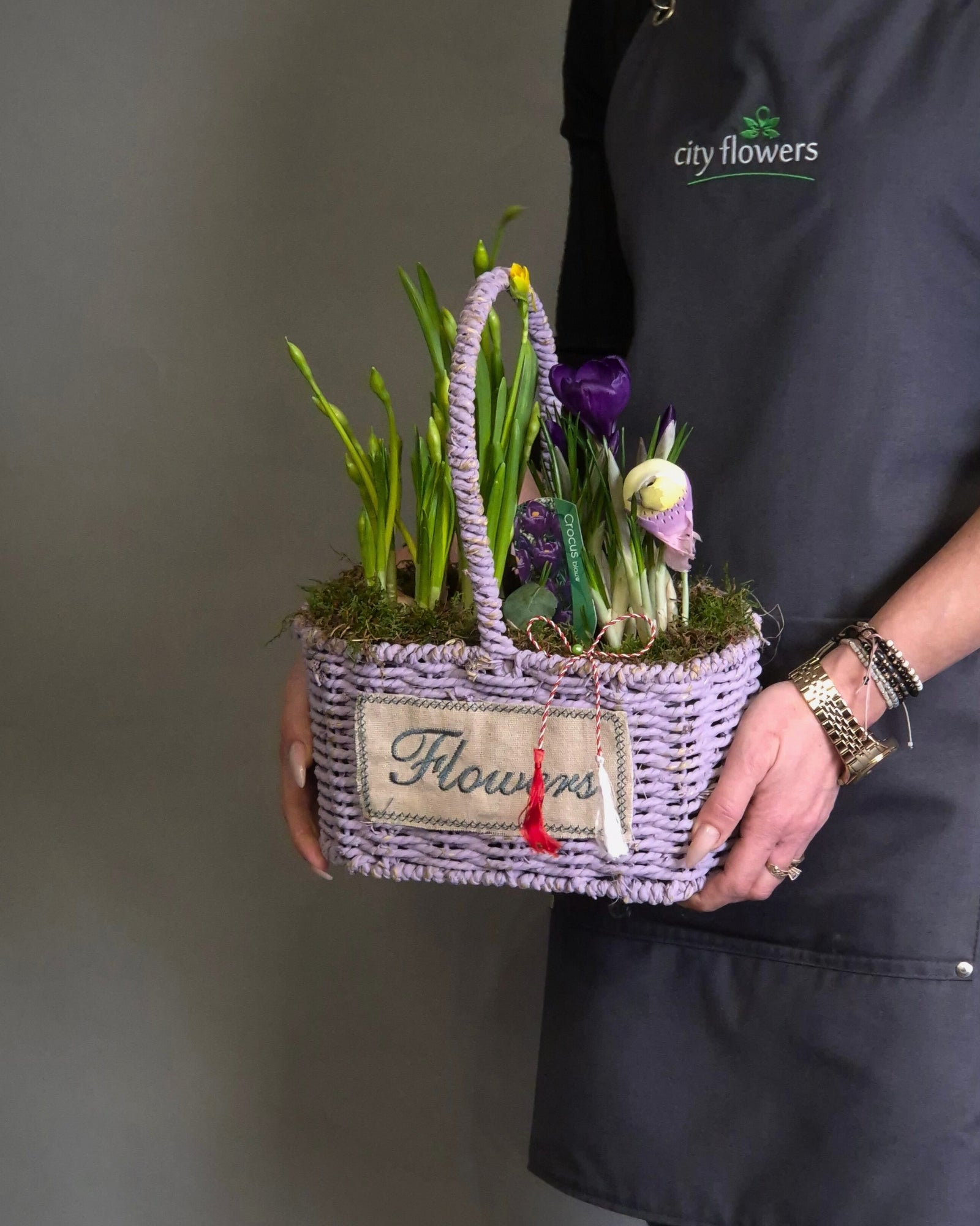 Cos "Spring Lilac" – Mix de 4 Bulbi de Primavara