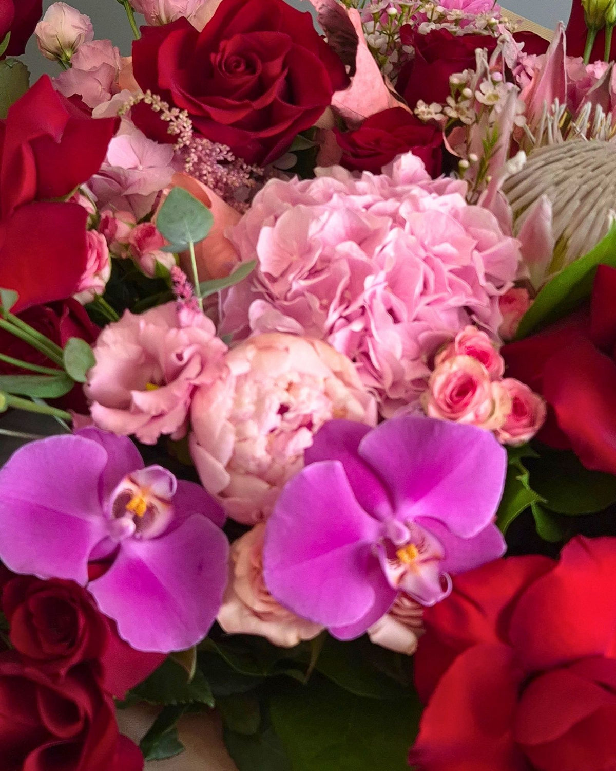 "Royal Passion" Imperial Bouquet – Red Roses, Protea and Pink Flowers