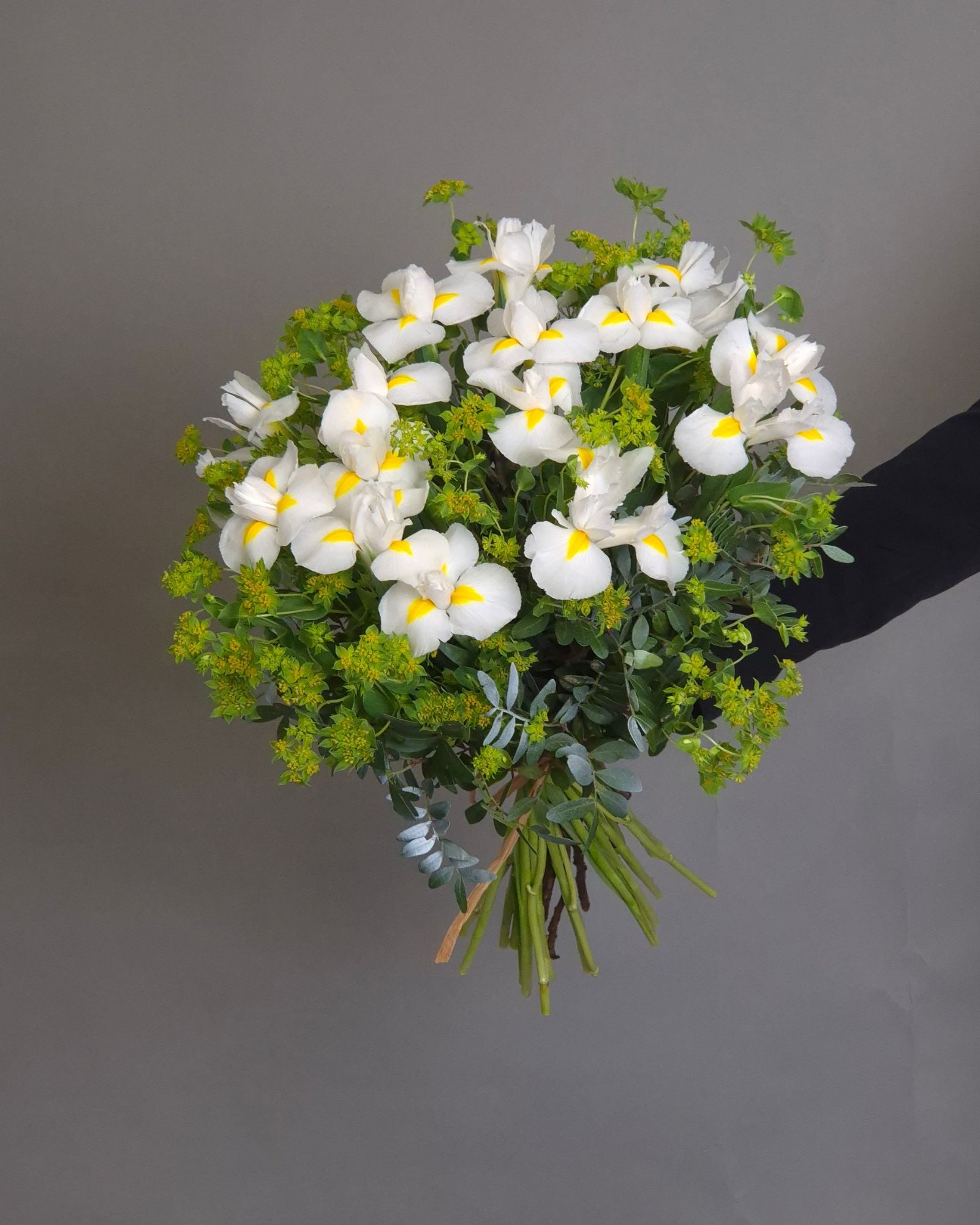 Buchet de Flori "Pure Iris"