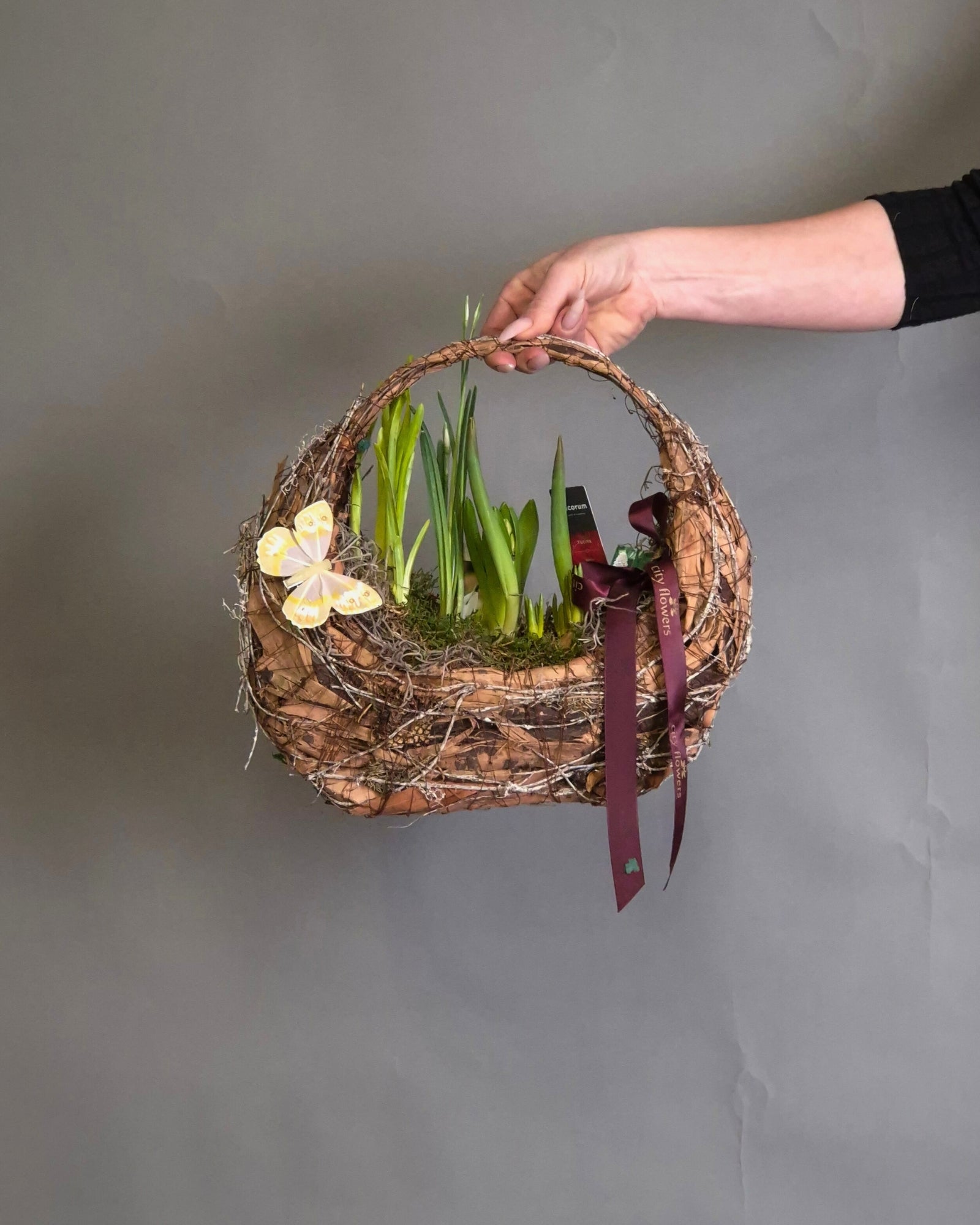 Cos "Spring Nature" – Mix de 5 Bulbi de Primavara