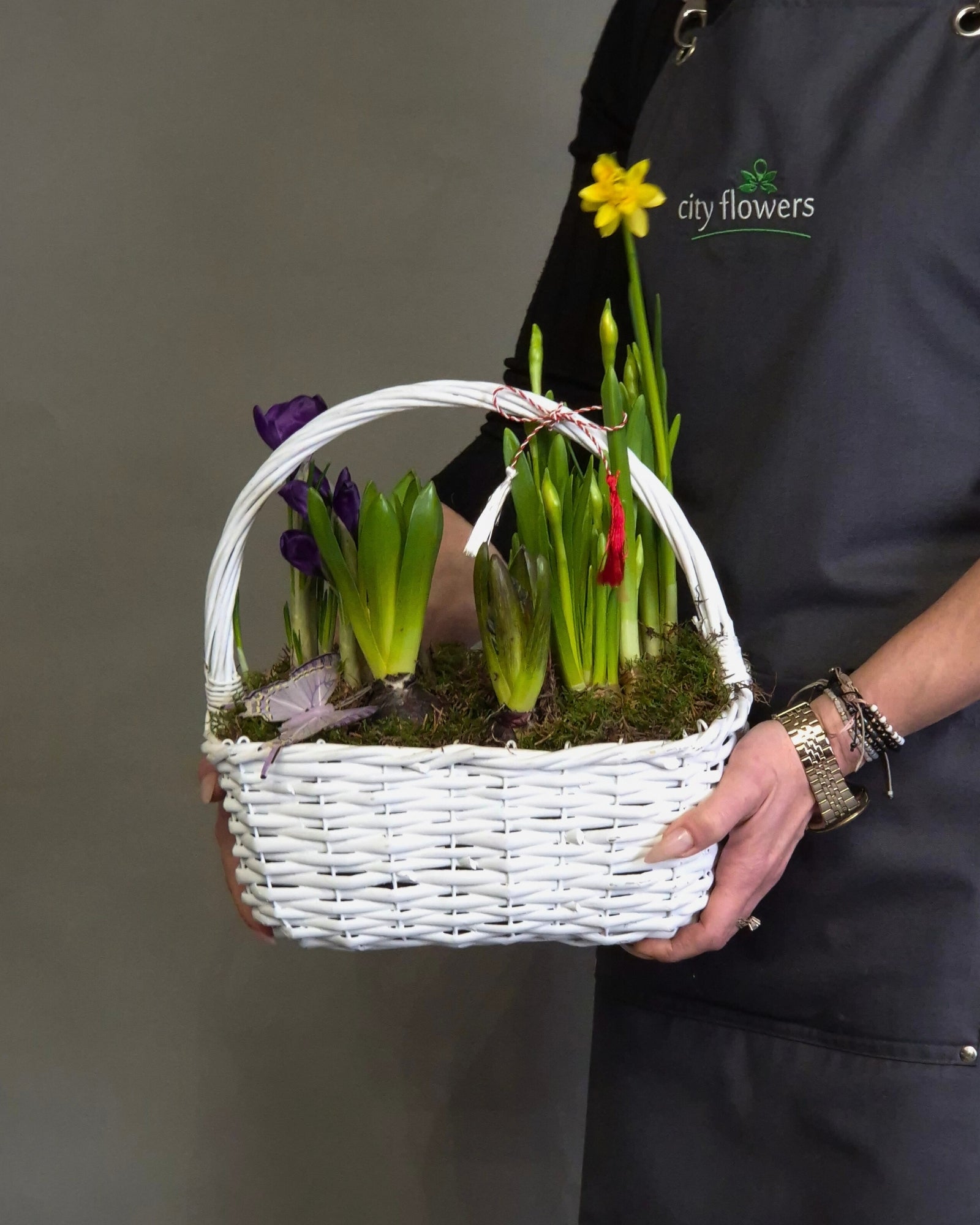 Cos "Spring Shine" – Mix de 5 Bulbi de Primavara