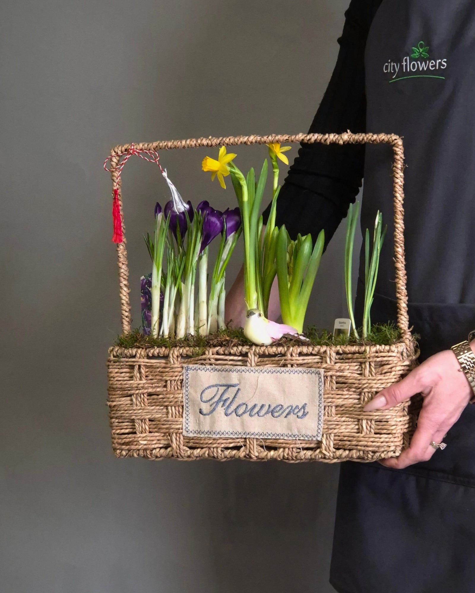 Cos "Spring Surprise" – Mix de 7 Bulbi de Primavara