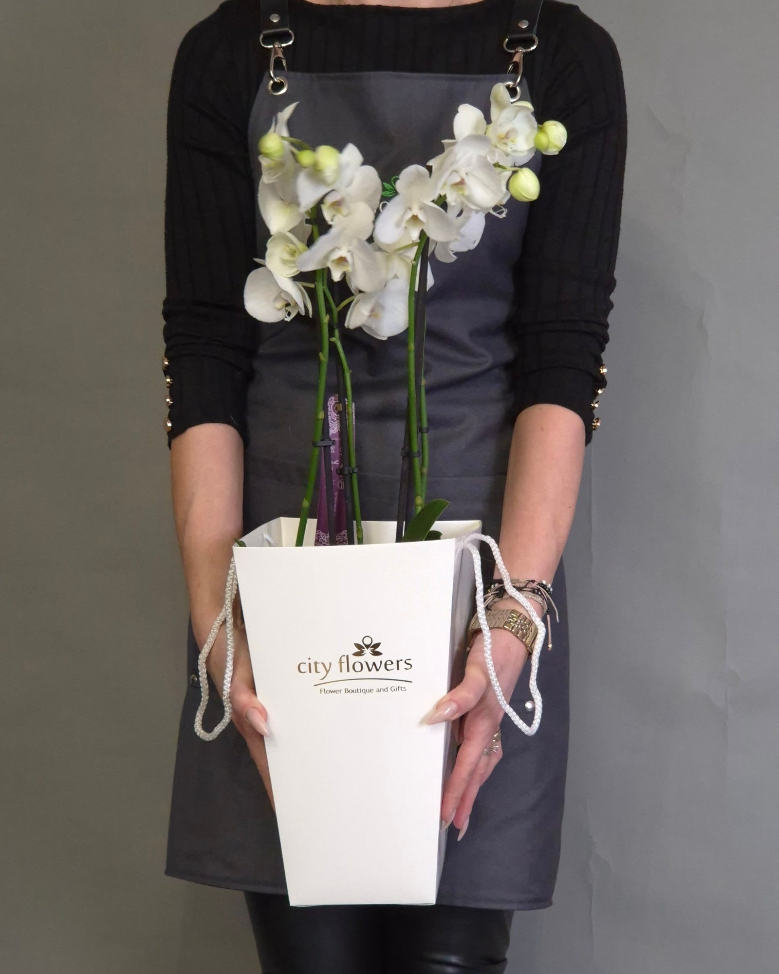 Orhidee Phalaenopsis Alba in Ghiveci Ceramic si Punga Cadou