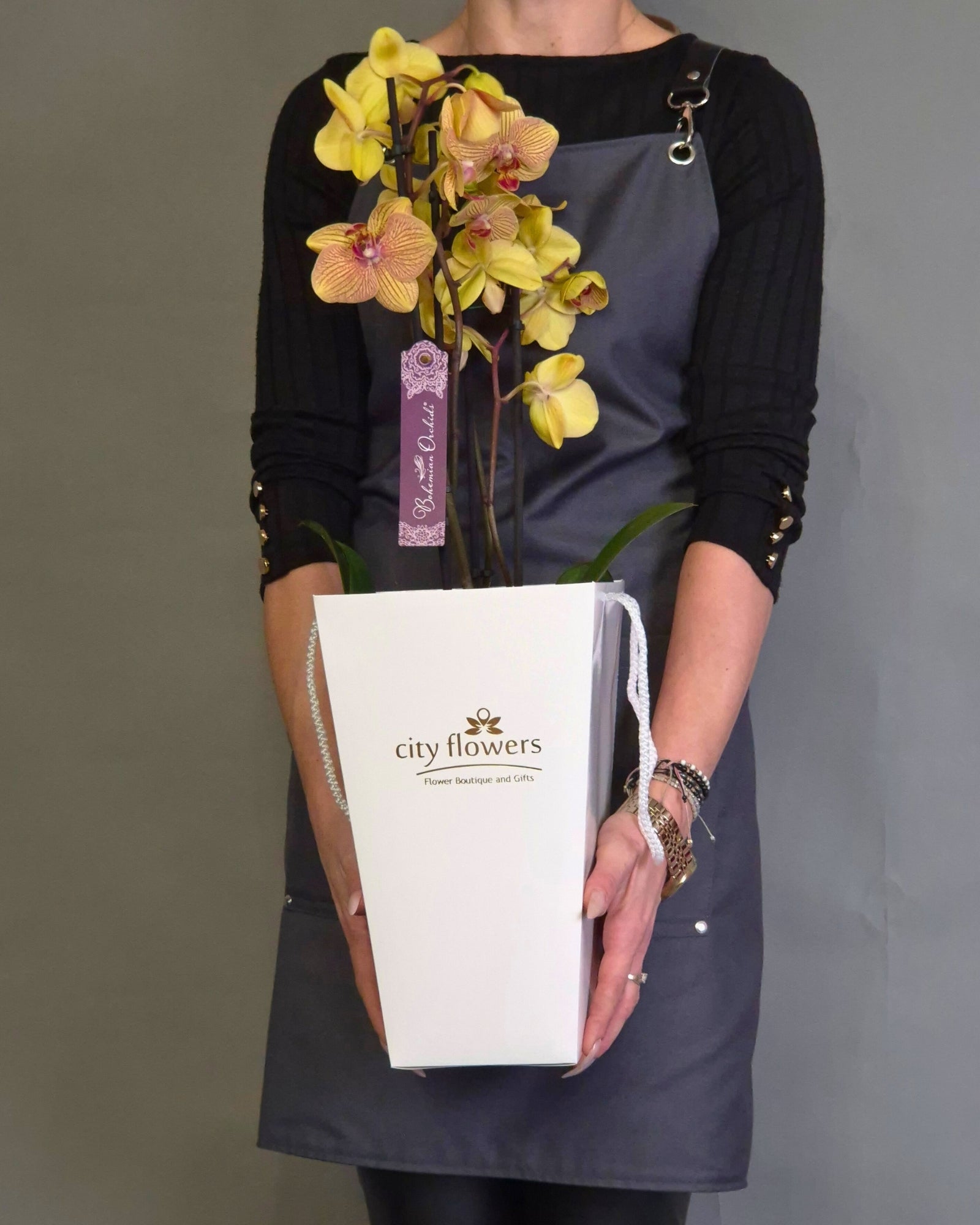 Orhidee Phalaenopsis Colorata in Ghiveci Ceramic si Punga Cadou